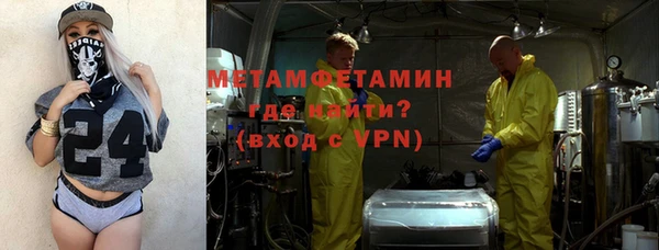 прущие грибы Вязники