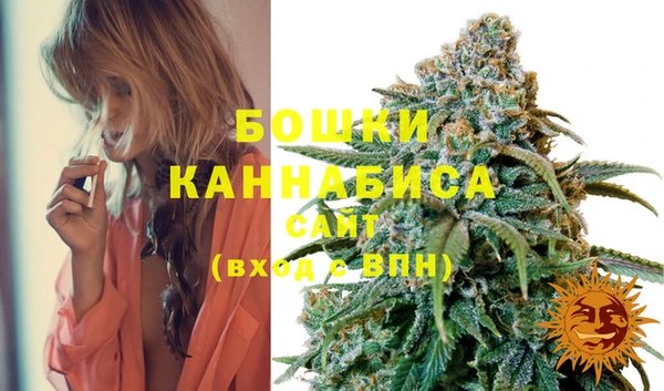прущие грибы Вязники