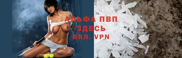 прущие грибы Вязники