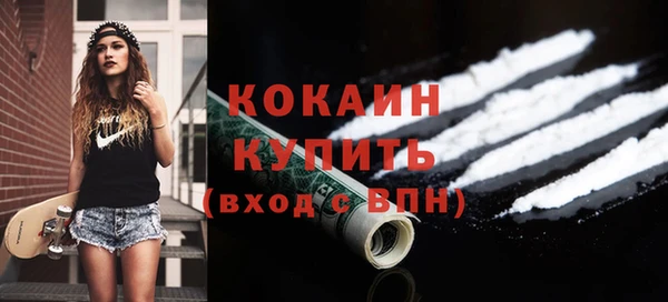 прущие грибы Вязники