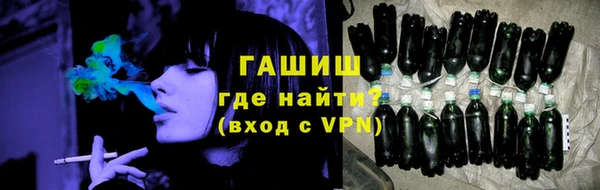 прущие грибы Вязники