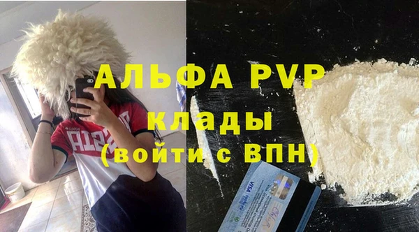 прущие грибы Вязники