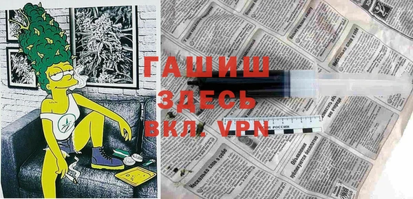 прущие грибы Вязники
