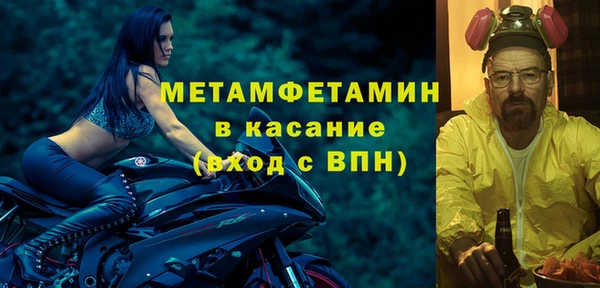 прущие грибы Вязники