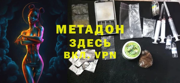 прущие грибы Вязники