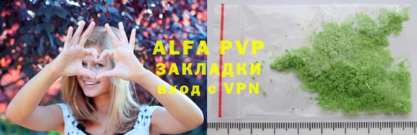 прущие грибы Вязники